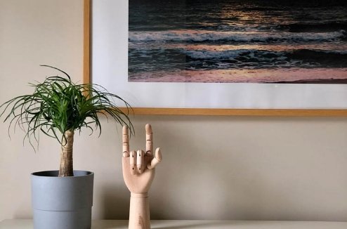 Mental Health Transitional