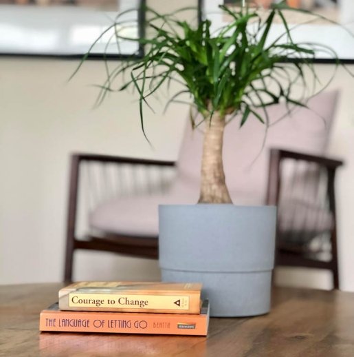 casabellasoberliving13